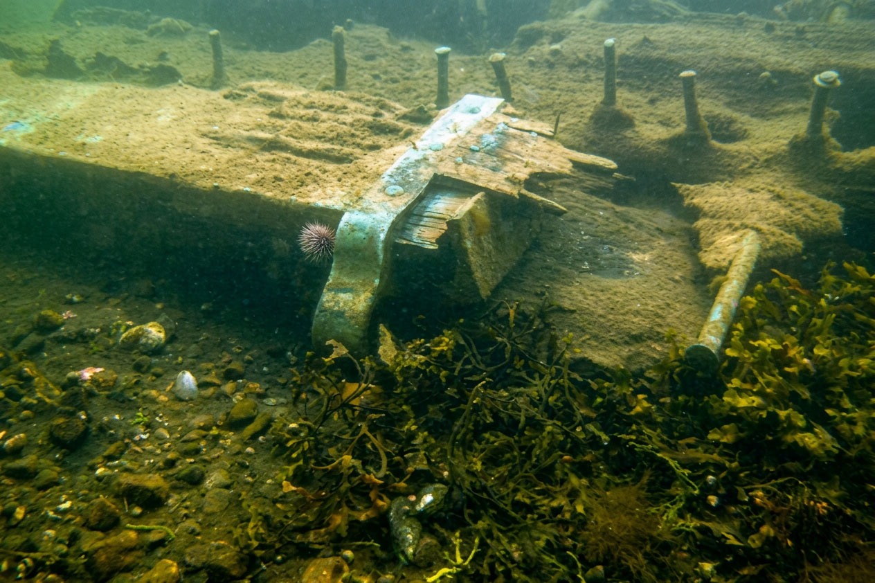 Épave des Îles aux Chiens